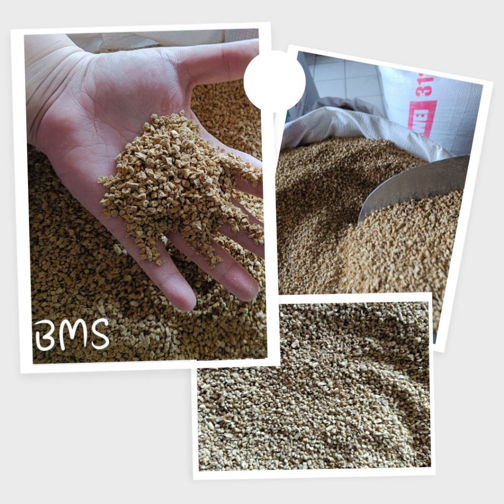 PUR PAKAN AYAM BURAS / BMS - PER 1 KG