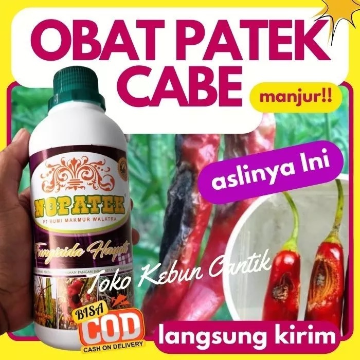 Obat Patek Cabe Nopatek 500ml, Cocok untuk Cabai Rawit dan Besar, Mengatasi Busuk Kering, Cegah Sera