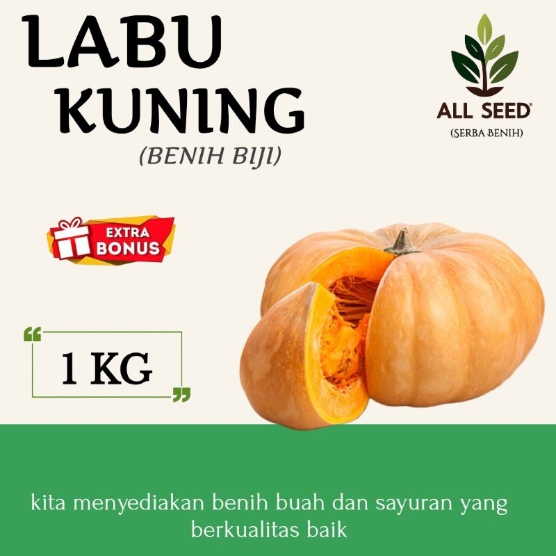 Benih labu kuning paket (1 KG) , bibit labu kuning