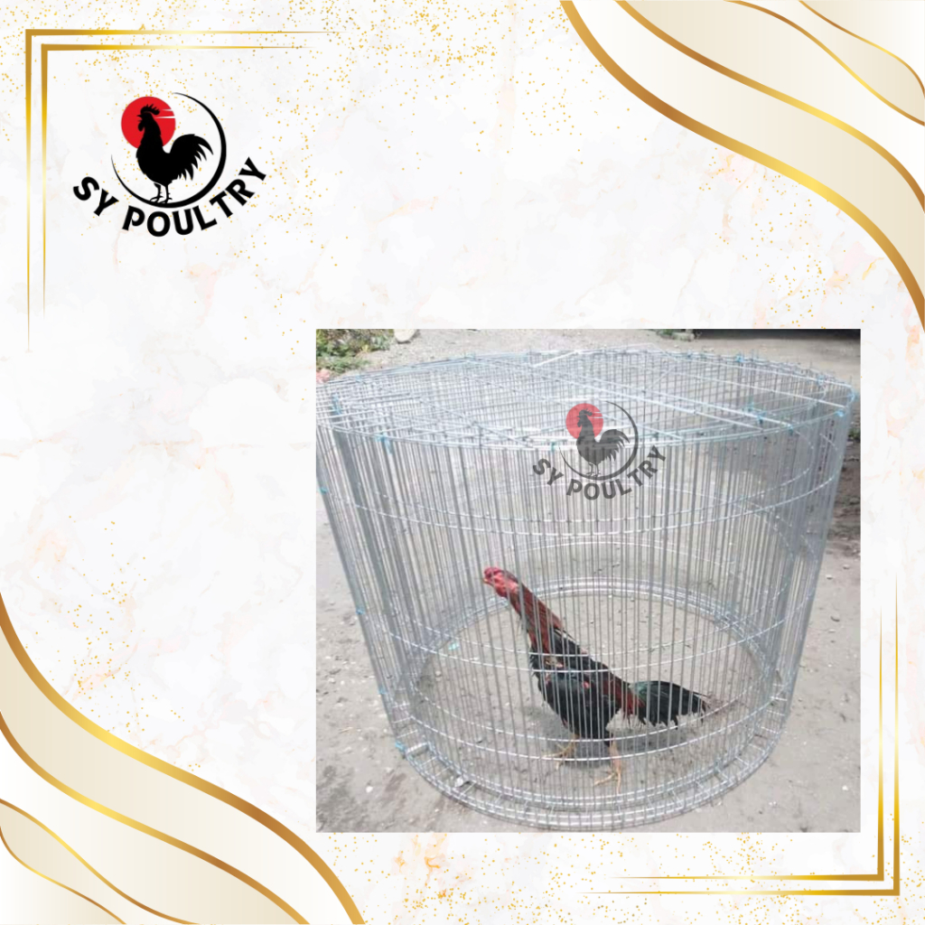 Kandang Ayam / Kurungan Ayam Bahan Galvanis Bentuk KLITER