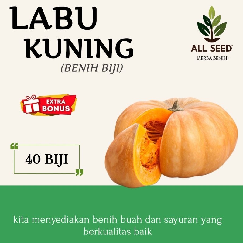 Benih labu kuning isi (±40 biji), bibit biji labu kuning