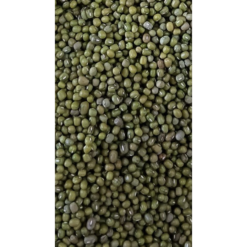 

RB KACANG IJO BUBUR 1KG