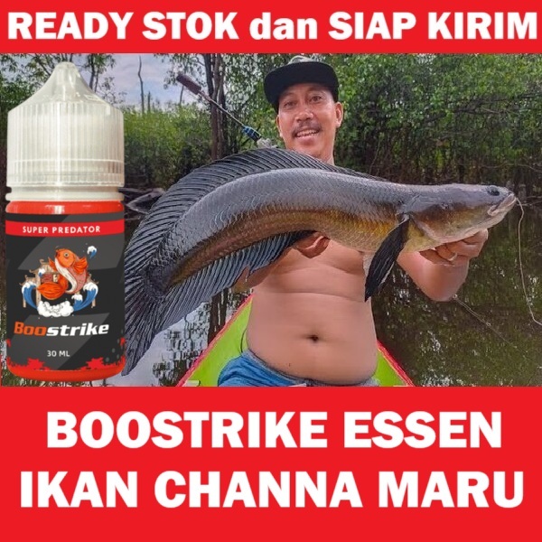 BOOSTRIKE ESSEN MANCING IKAN CHANNA MARU CANA LIAR PALING AMPUH ISI 30ML