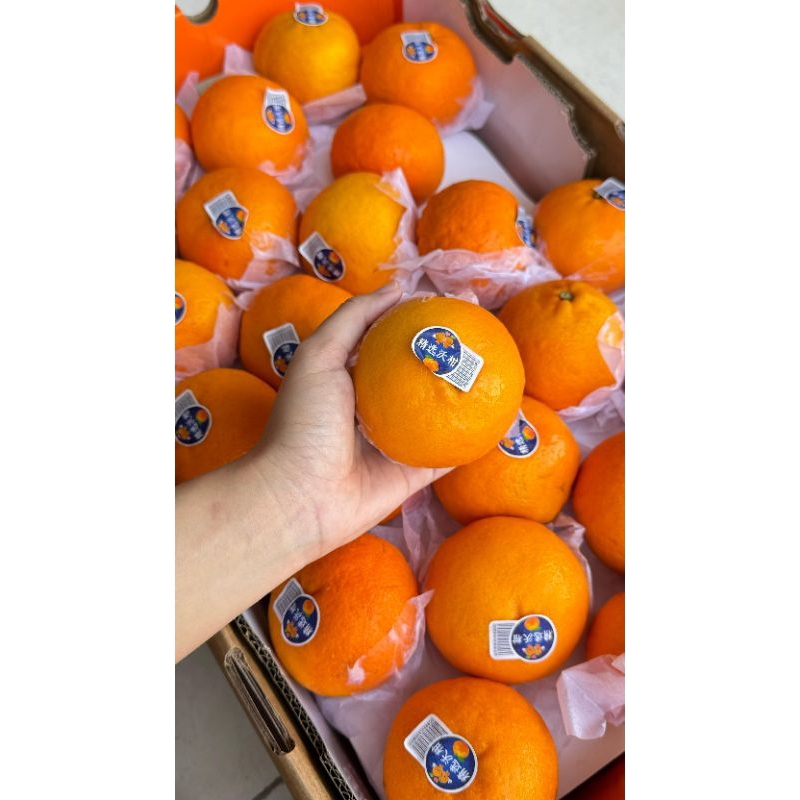 

Jeruk Wokam China (KG)