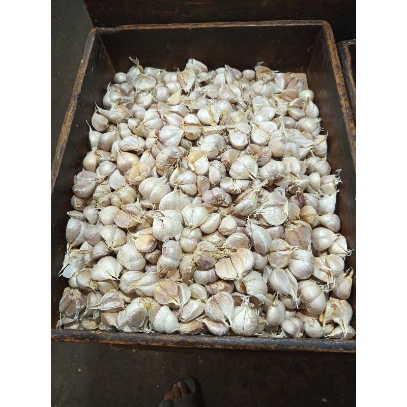 

Bawang Putih Kating 1 kg