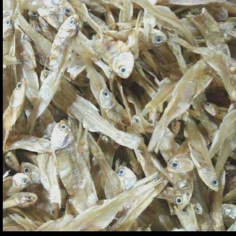 

ikan teri 250 gram tawar terlaris renyah