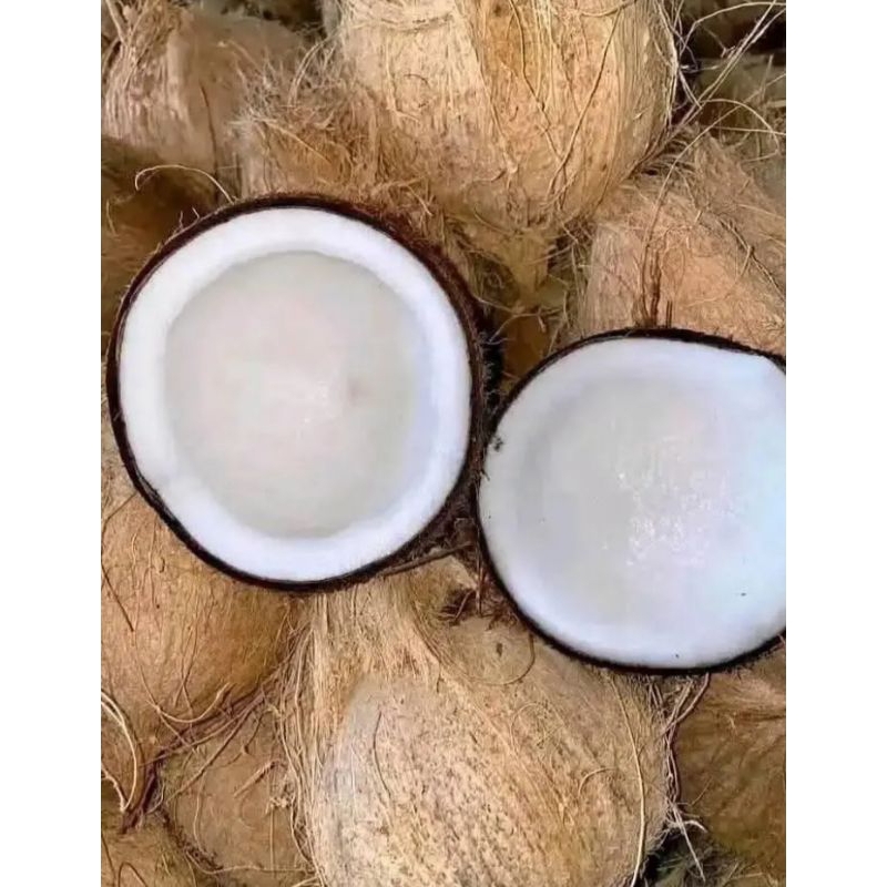 

kelapa tua kupas 1 butir