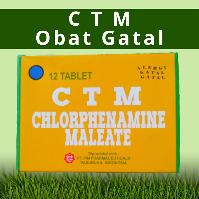 (GROSIR) CTM Obat Gatal 12 Tablet