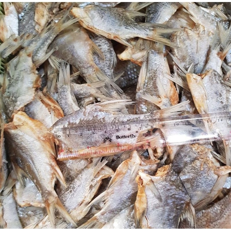

Ikan Asin Rambas Potong | Ikan Asin Rambas