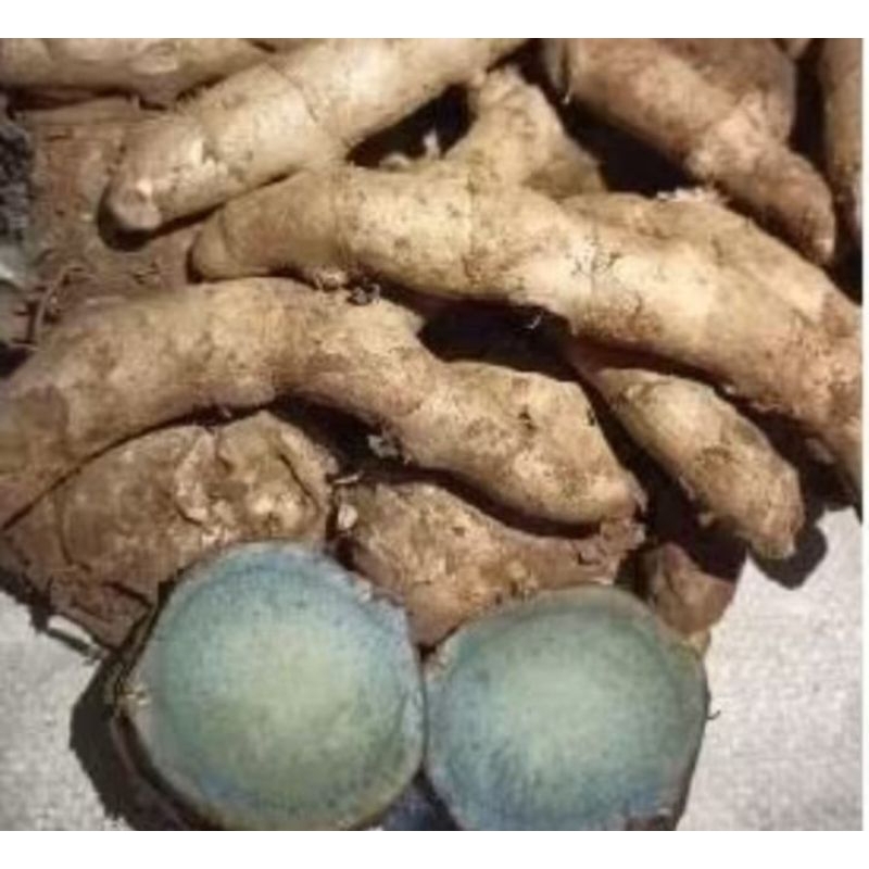 

temu kunyit hitam langka herbal 1kg