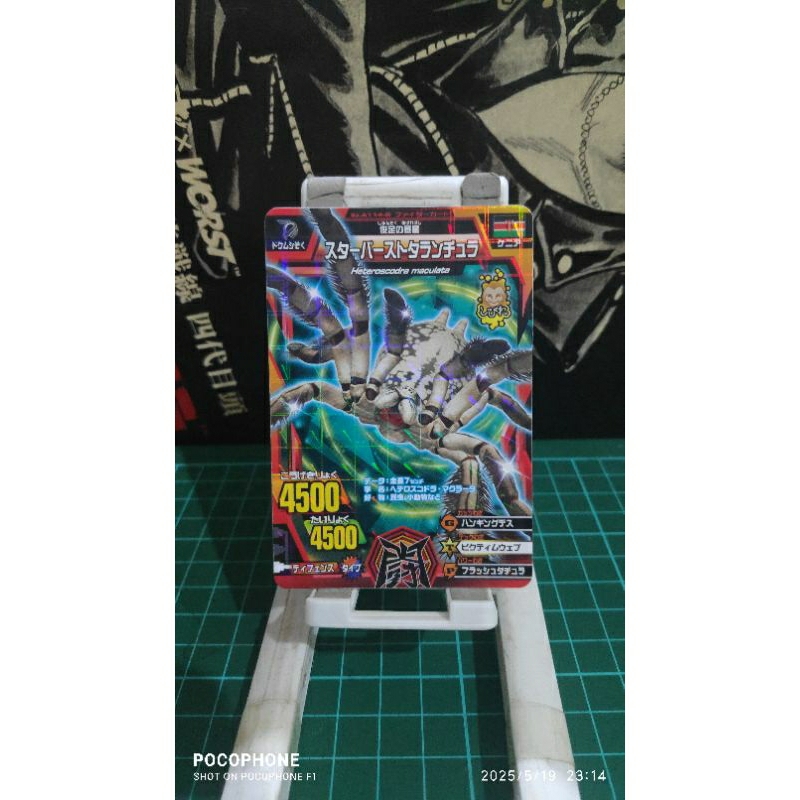 kartu animal kaiser strong card starburst tarantula japan