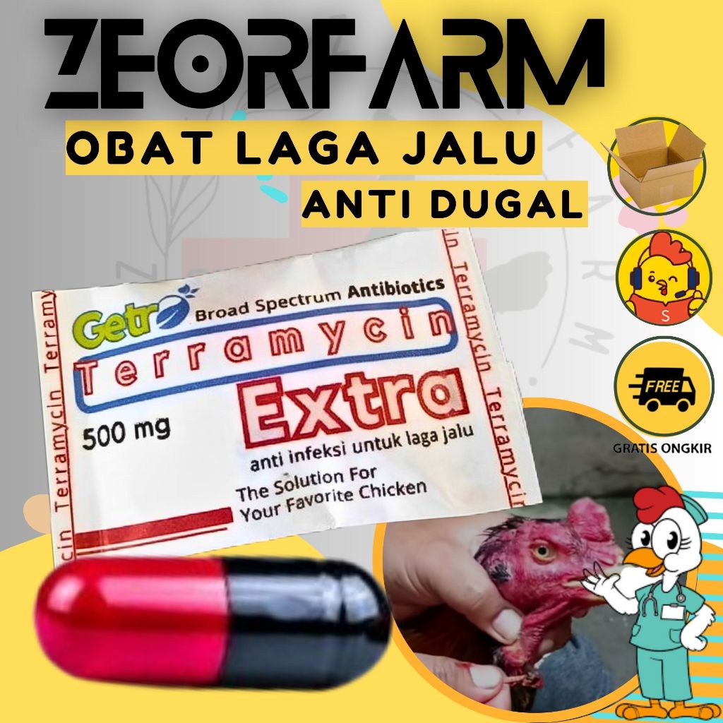 obat luka ayam jalu mencegah dugal ayam zeorfarm