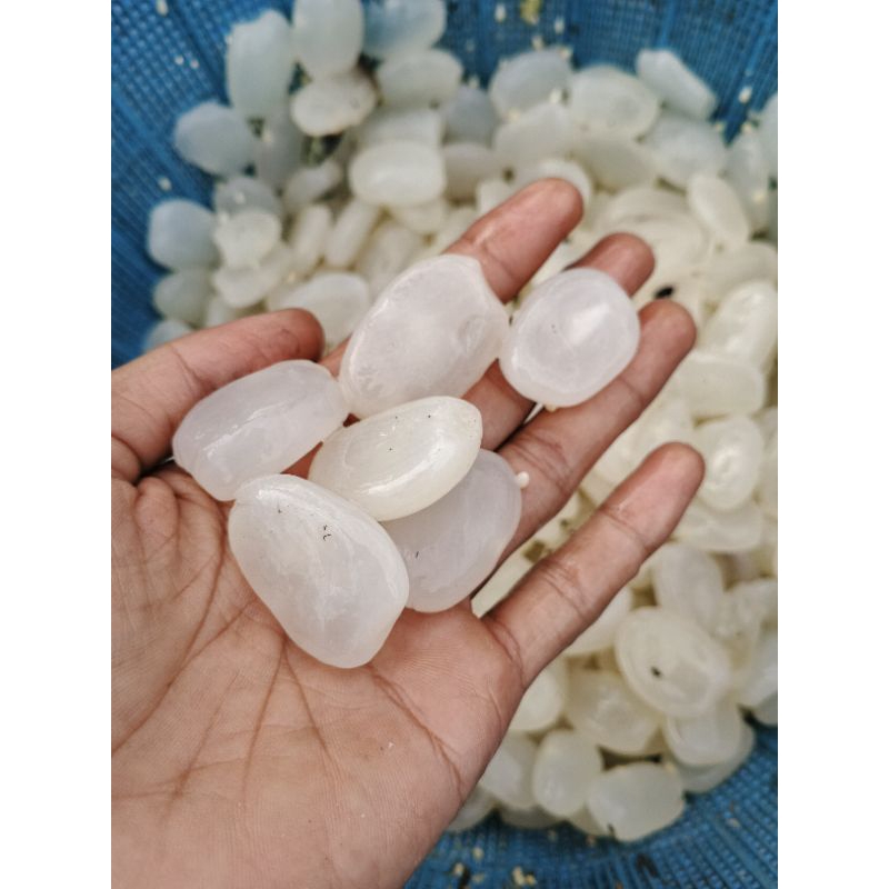 

kolang Kaling super pilihan (1kg)