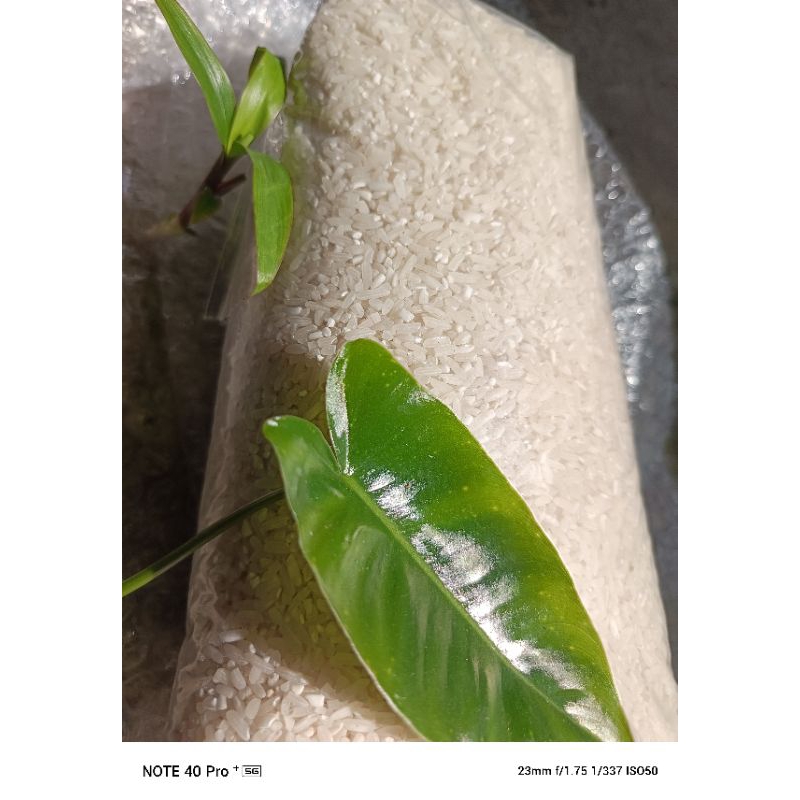 

beras lokal premium literan varian 2 liter