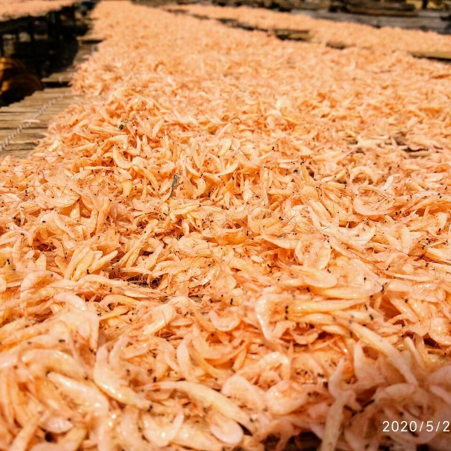 

ikan asin udang rebon super murah/bayar di tempat