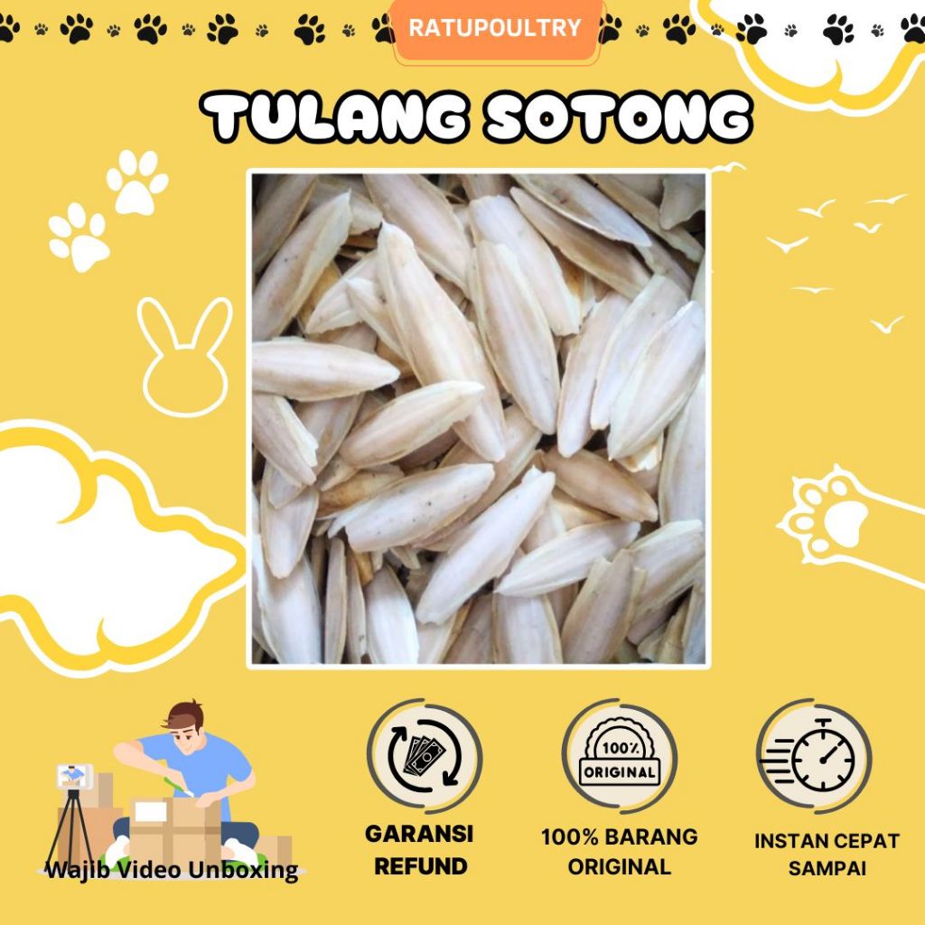 TULANG SOTONG 15 CM untuk asinan dan kalsium Burung, Hamster, Sugar Glider, Anjing, Kucing | Tulang 