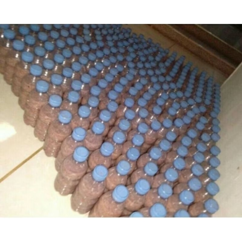 

Sehakoi/Hakoi/Hekoi/Asinan Udang Rebon/Cincalok Udang Pontianak 320gr