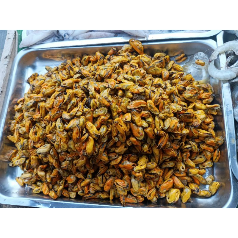 

kerang kupas fresh seafood