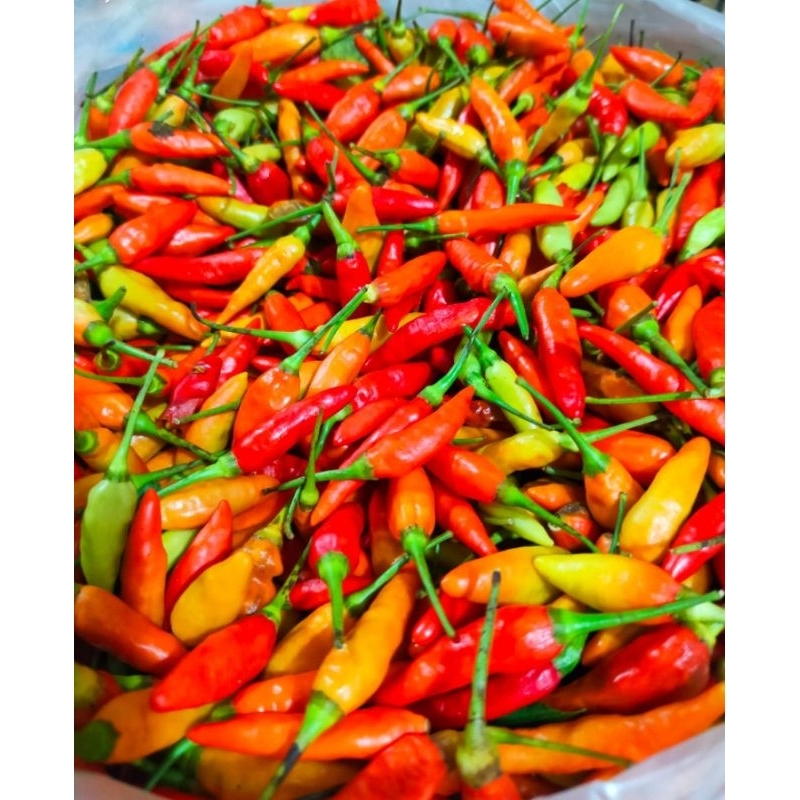 

CABE RAWIT MERAH SUPER PEDASSS NAMPOLLL 1KG-500GR