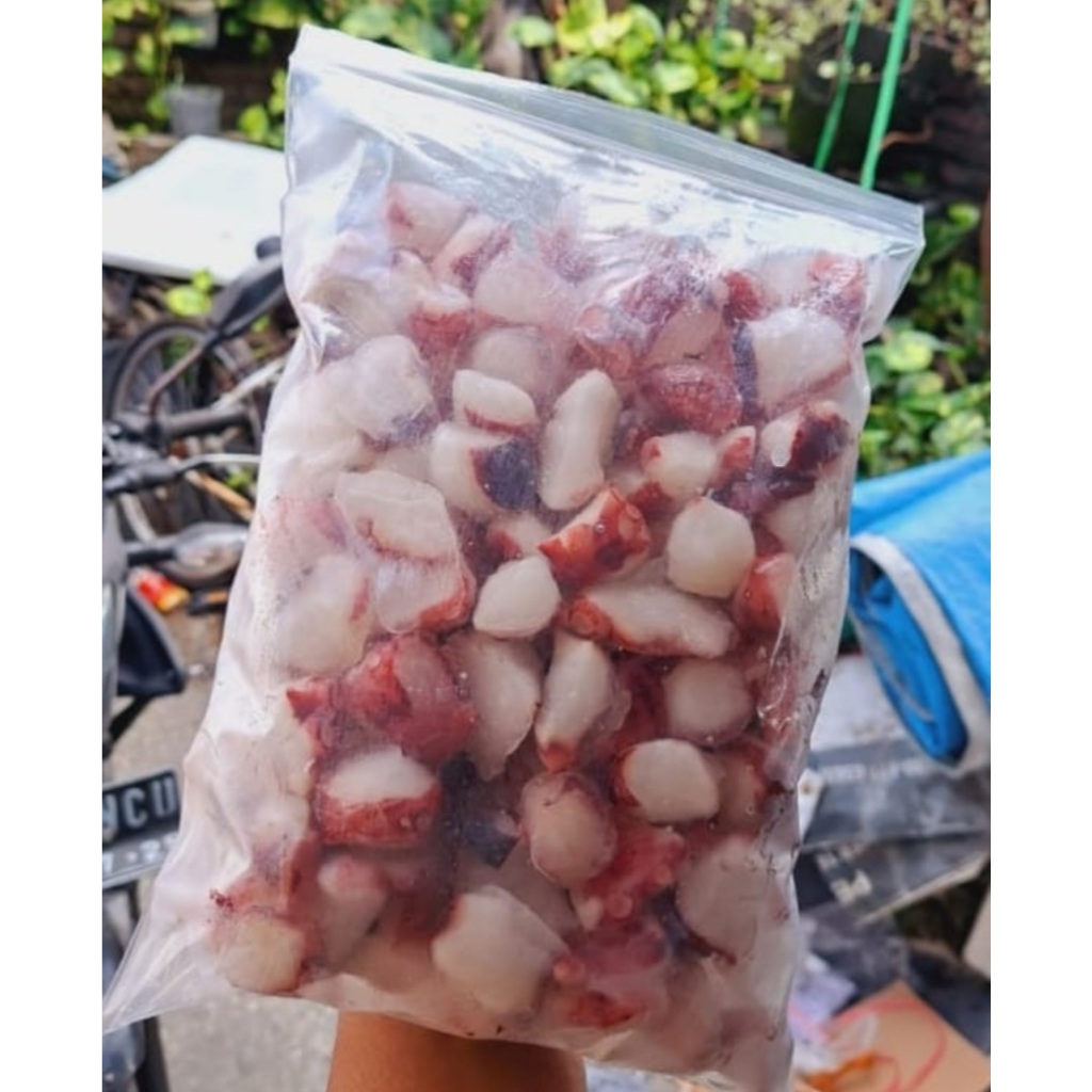 

Gurita cut - premium