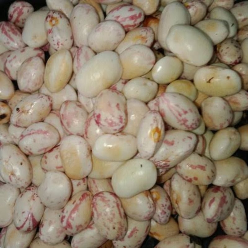 

Kacang Endul 250gr