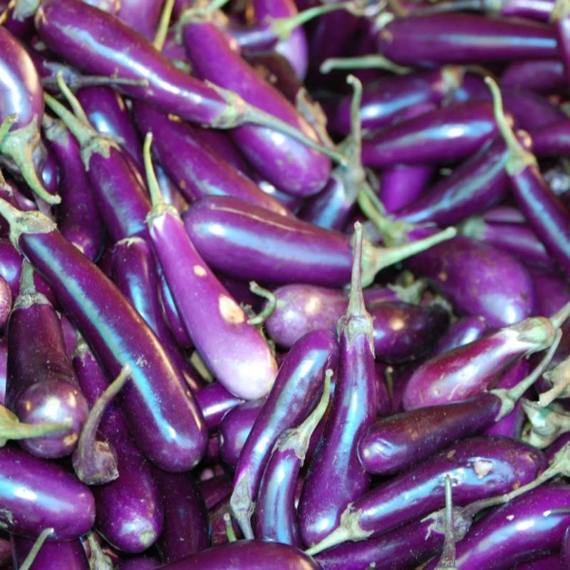 

Terong Ungu 500gr