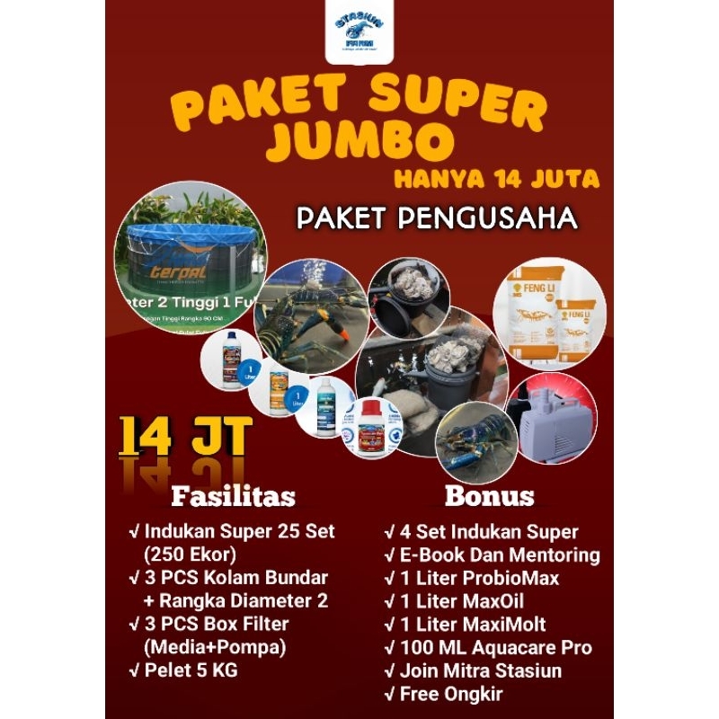 PAKET SUPER JUMBO BUDIDAYA LOBSTER AIR TAWAR
