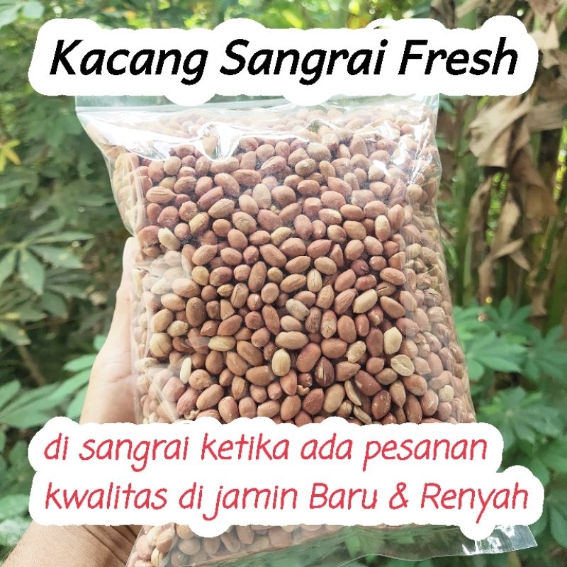 

Kacang Matang Sangrai Fresh Renyah - Pesanan masuk langsung Sangrai dadakan
