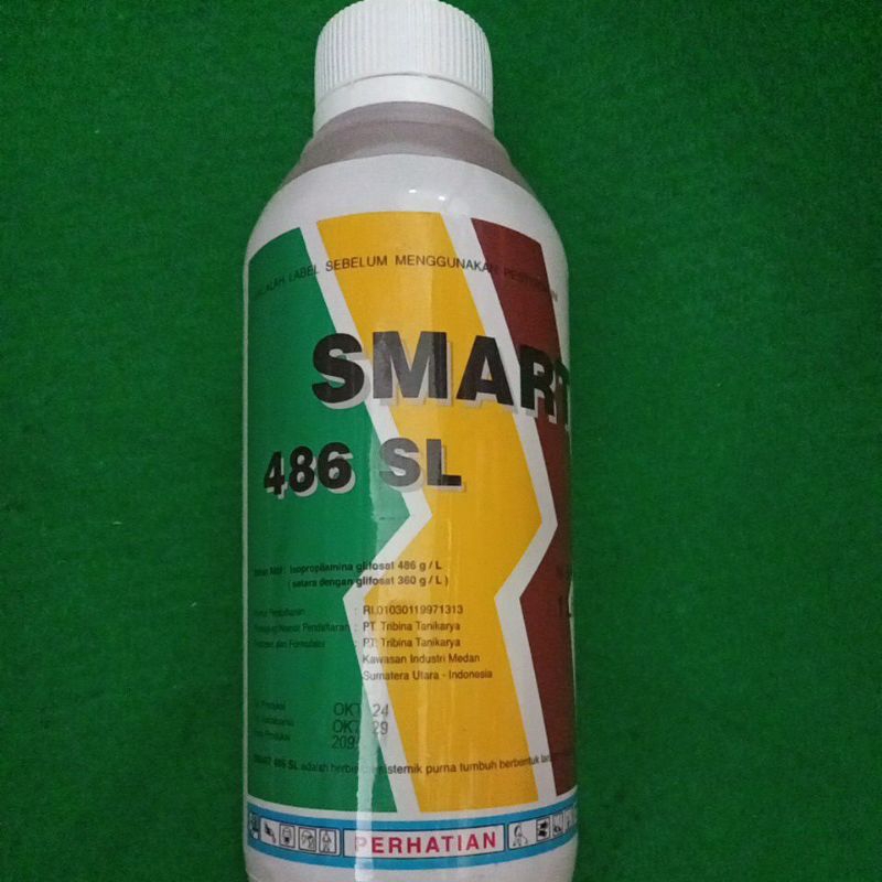 Smart 486SL, 1L