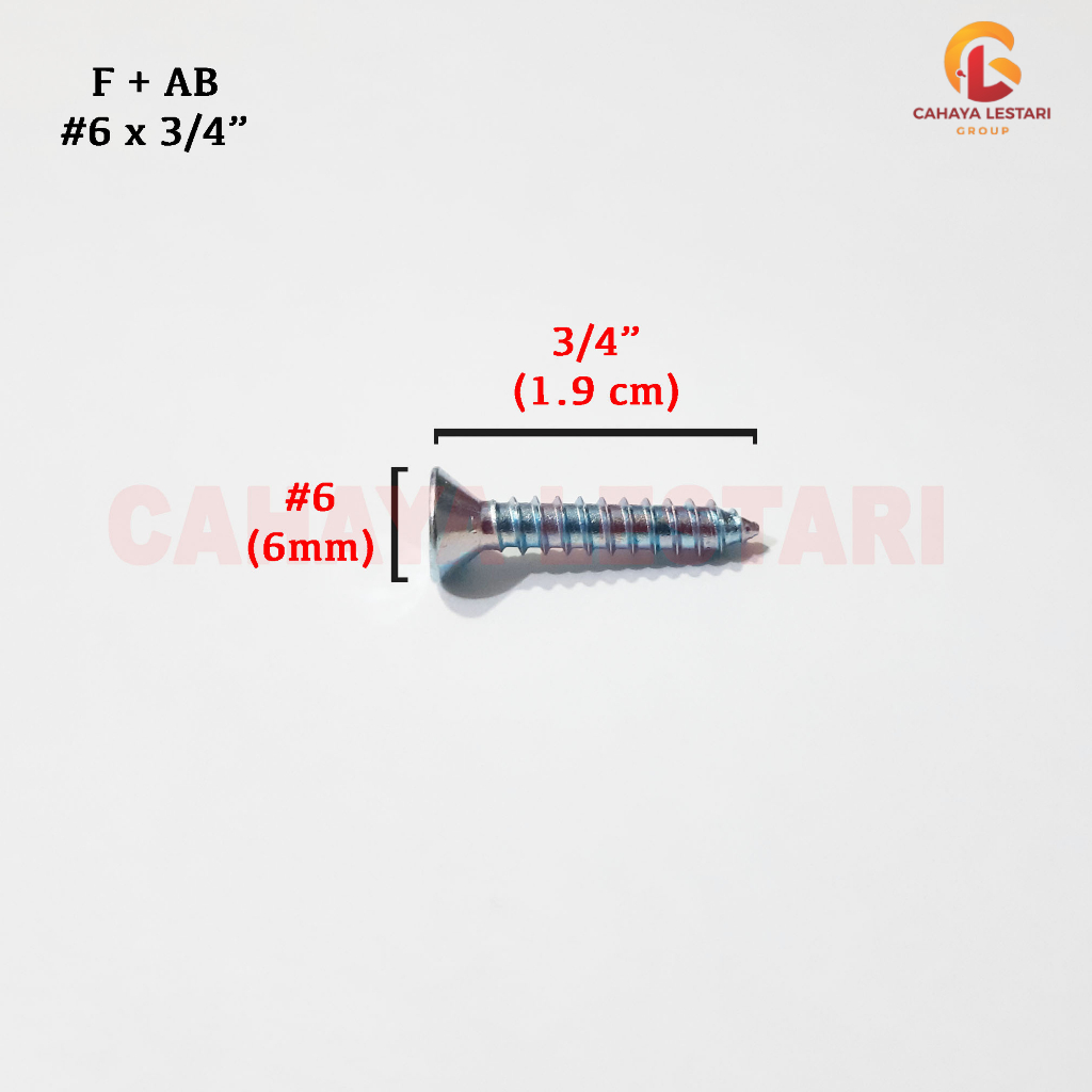 #6 x 3/4” Tapping Screws / Sekrup Kayu MOON LION FAB (isi 100 pcs)
