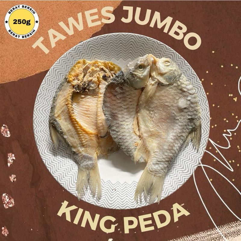 

Ikan Asin Tawes Jumbo Super 1 Kg Termurah Fresh Food 250gram,500gram,1000gram