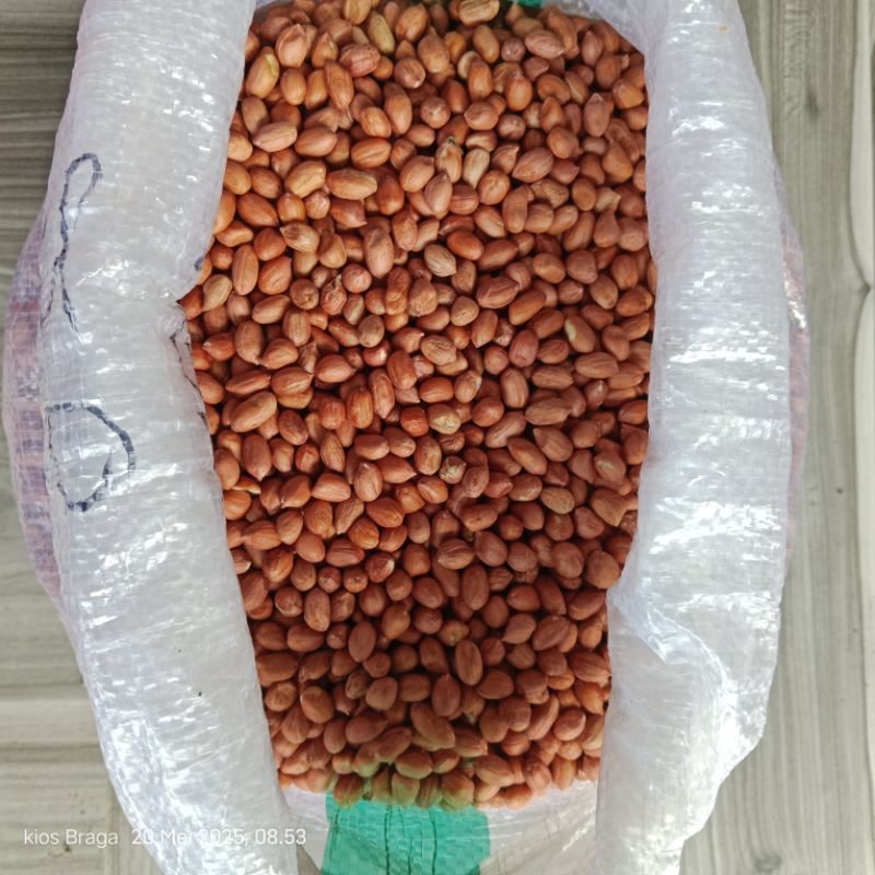

Kacang tanah kering kualitas lokal 1kg