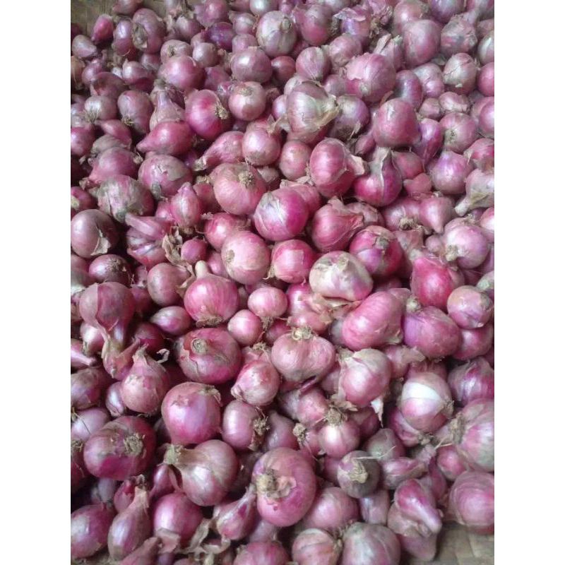 

bawang merah pilihan 1kilo