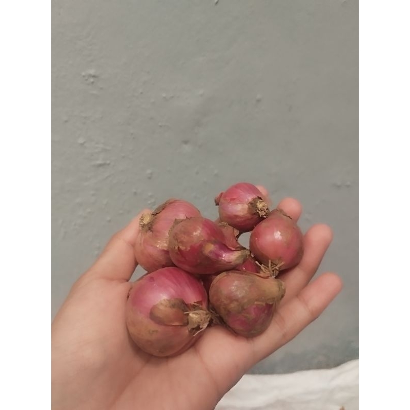 

Bawang Merah kering 500g dan 1 kg