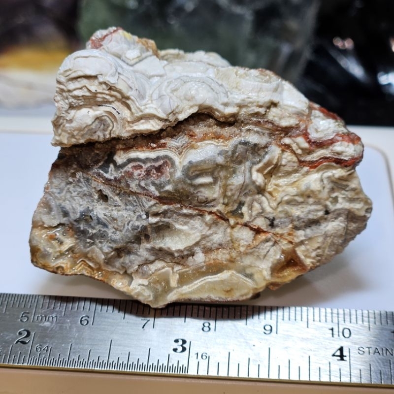 Mexico Crazy Lace Agate Raw Stone ( MCL1 )