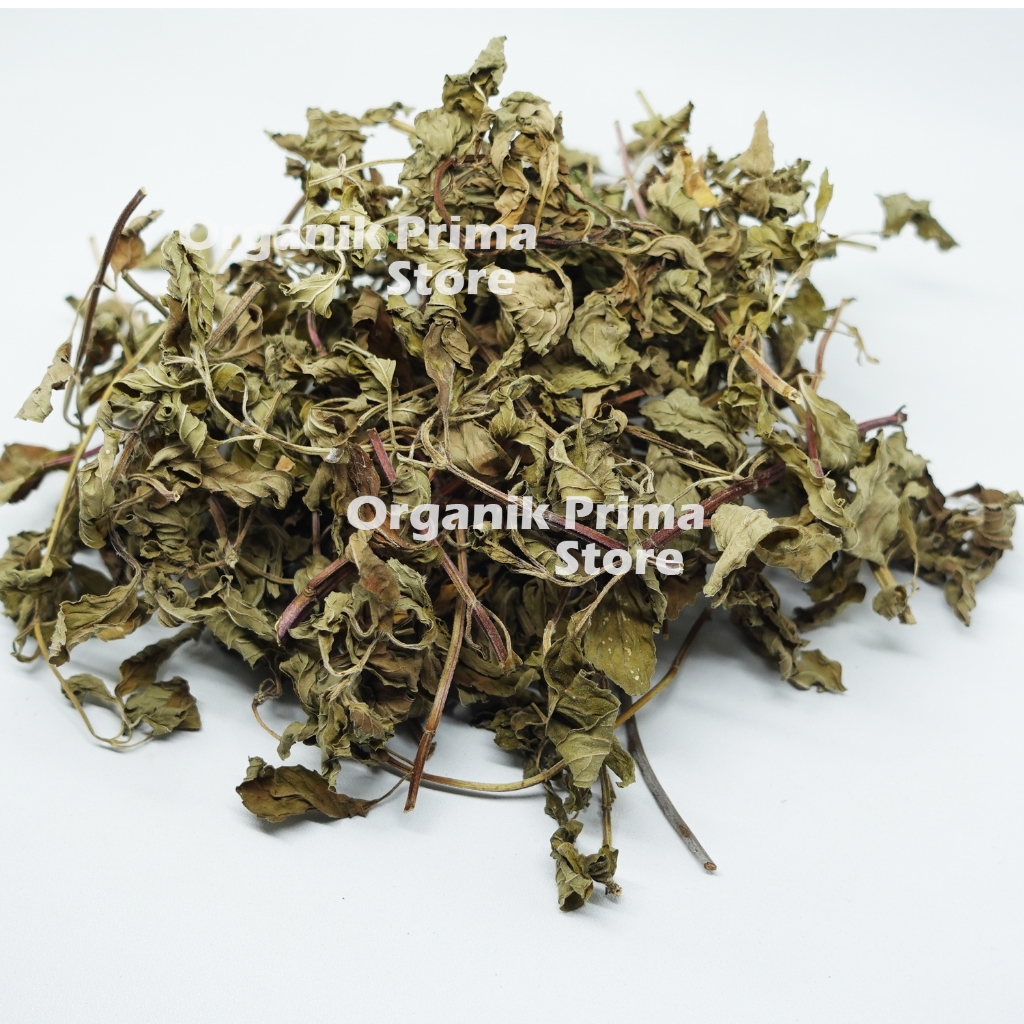 

Daun Stevia Kering 250gr Bersih dan Organik