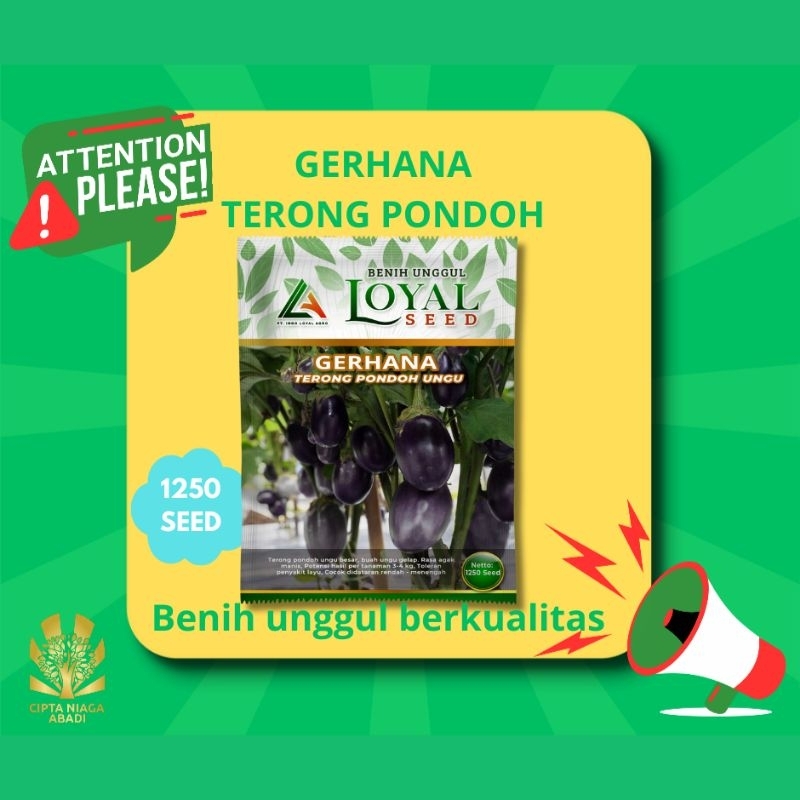 Benih Terong pondoh Ungu GERHANA