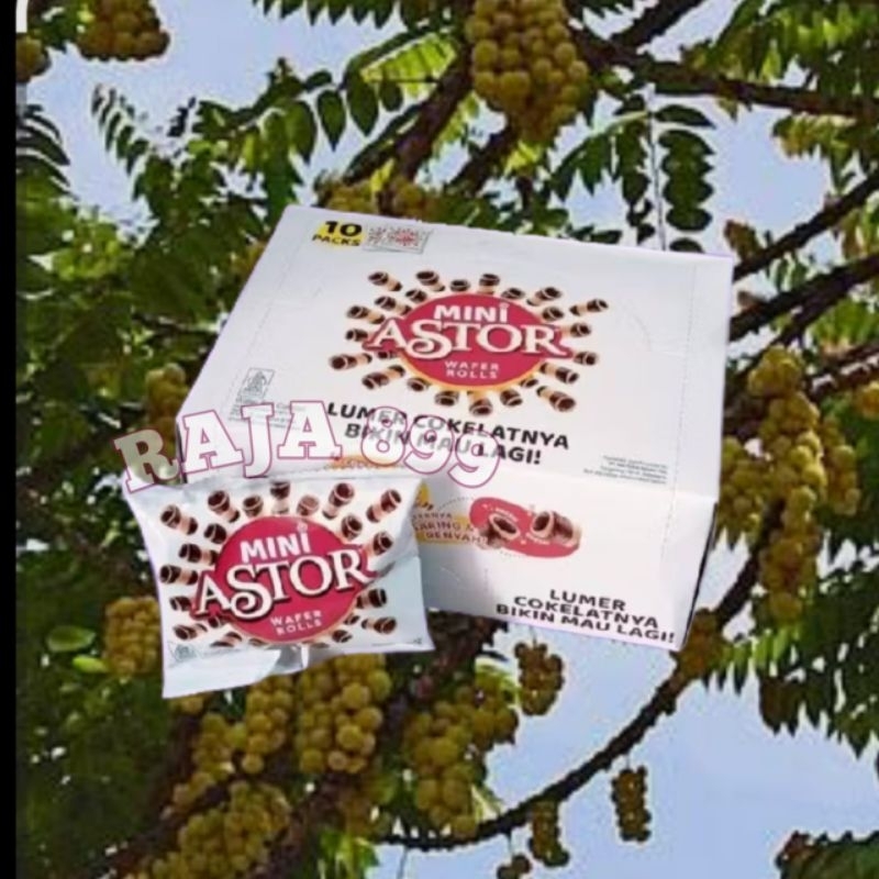 

MINI ASTOR COKELAT BOX ISI 10 PCS X 20GR