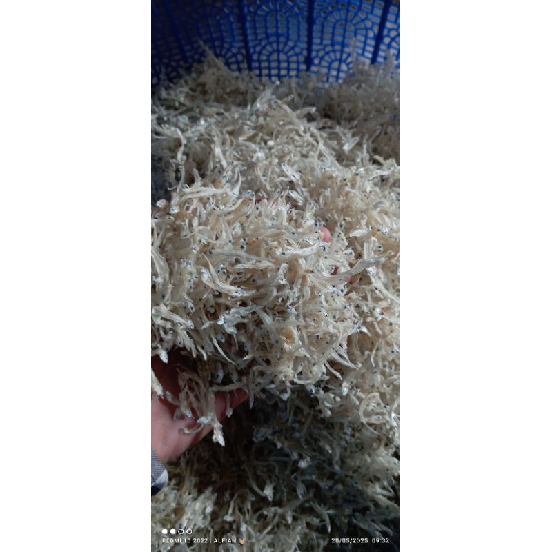 

IKAN TERI NASI TAWAR PUTIHH ASLI SARANG Grade A 100 gram TERMURAH✅