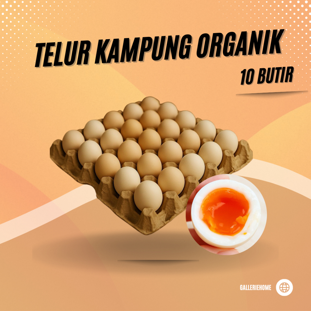 

Telur Ayam Kampung Organik Omega per 10 butir
