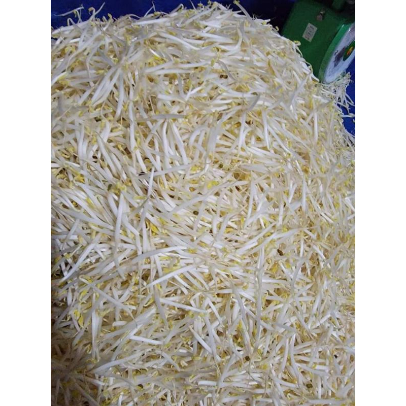 

toge panjang
