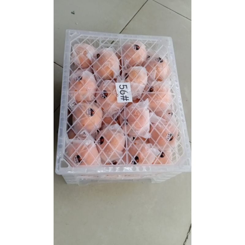 

Jeruk Sunkist Navel RRC Jumbo 14 Kg / Keranjang