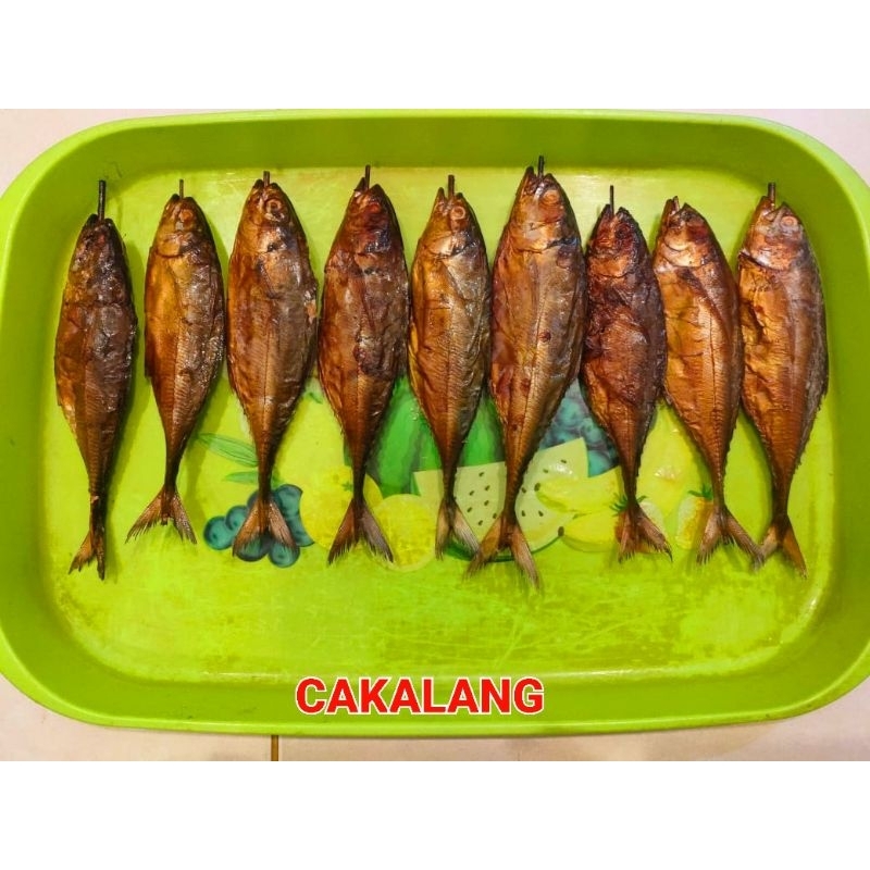 

IKAN ASAP CAKALANG ISI 5 MURAH CUMA 20RB