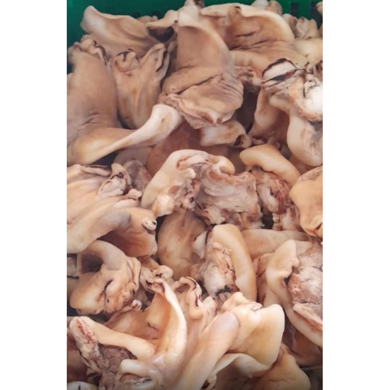 

Kikil Sapi Bagian Kuping -+1kg