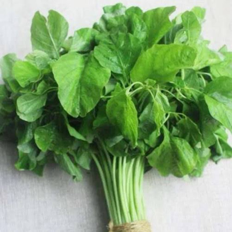 

BAYAM SEGAR HARIAN PER IKAT ± 325 GR