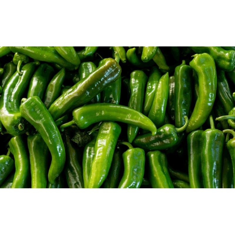 

Cabe Hijau Tanjung 1kg