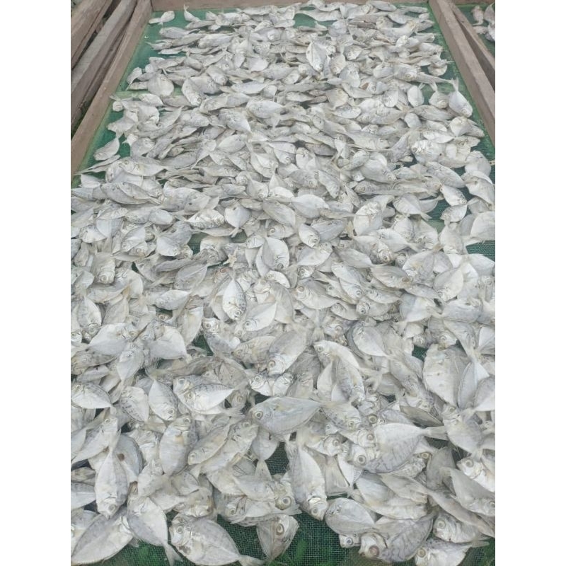 

Ikan Asin Petek Super