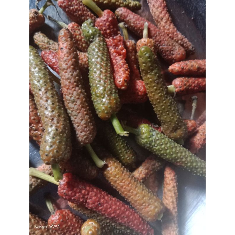 

cabe jawa / jabe jamu