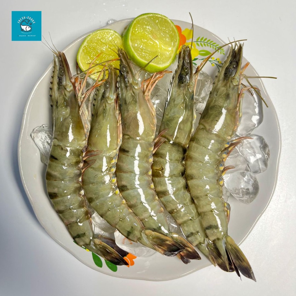 

UDANG LAUT TIGER BESAR / UDANG PACET / BLACK TIGER PRAWN DIJAMIN SEGAR DAN BERKUALITAS BY FRESHGOODS