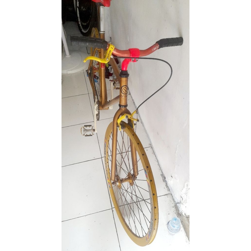 fixie brain atales size 50